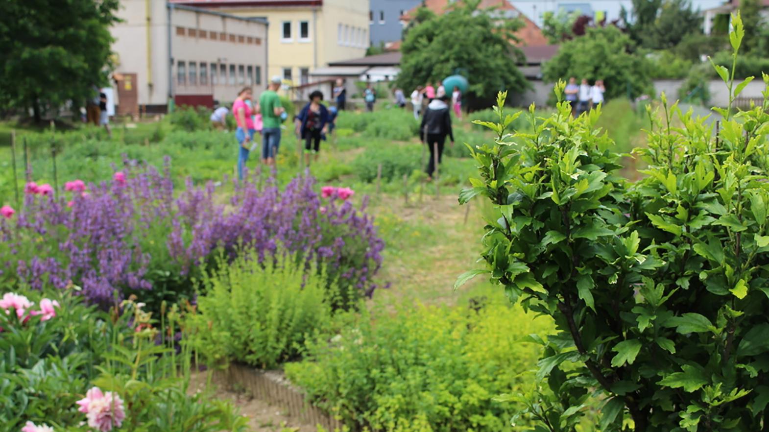 Žiadať o grant na enviroprojekty je možné on-line
