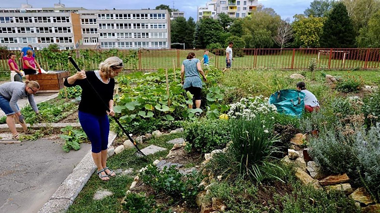 Nadácia Bratislavy podporí komunitný život v hlavnom meste