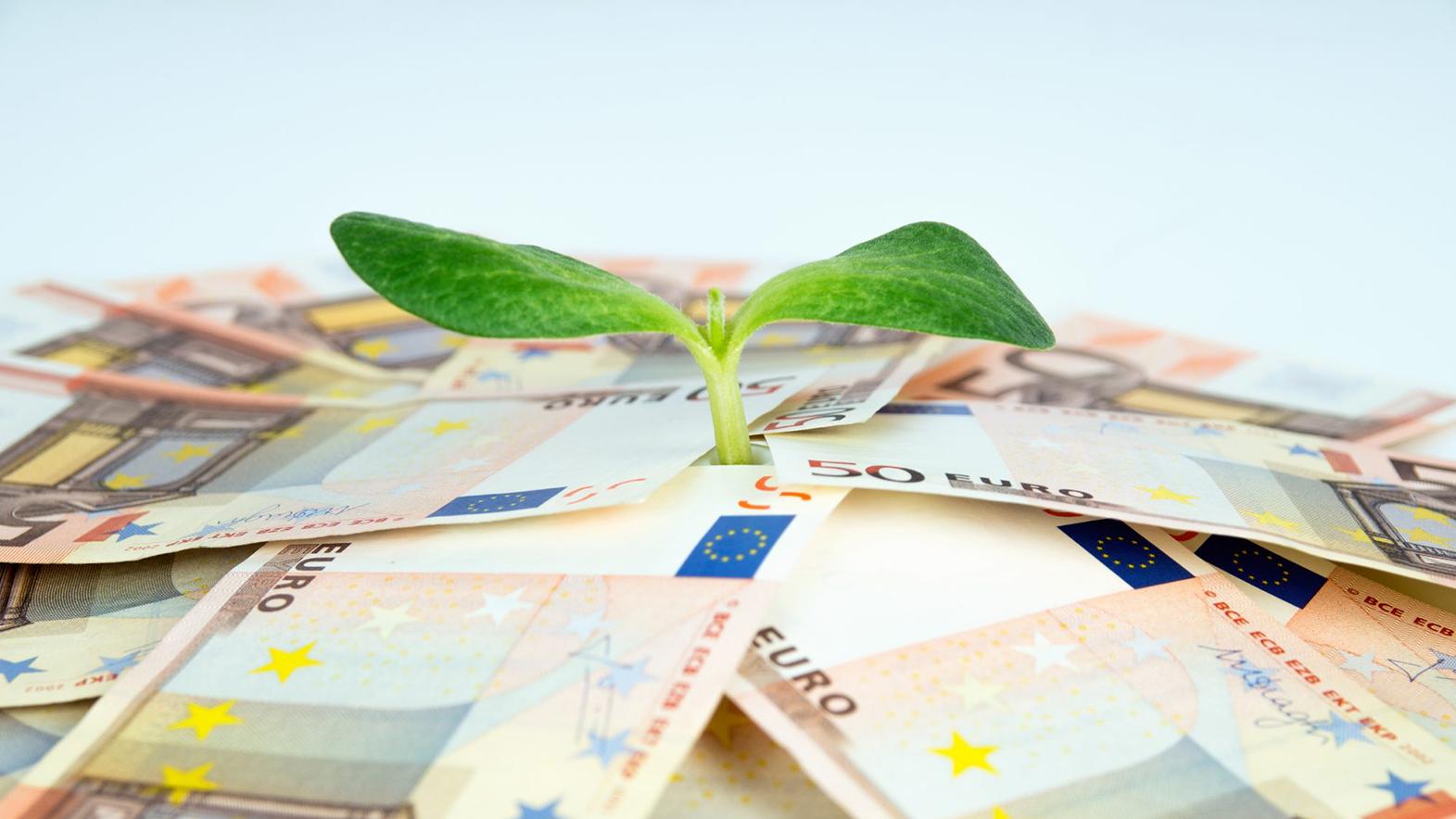 Nadácia automobilky rozdelí na projekty rozvoja životného prostredia 50 000 eur