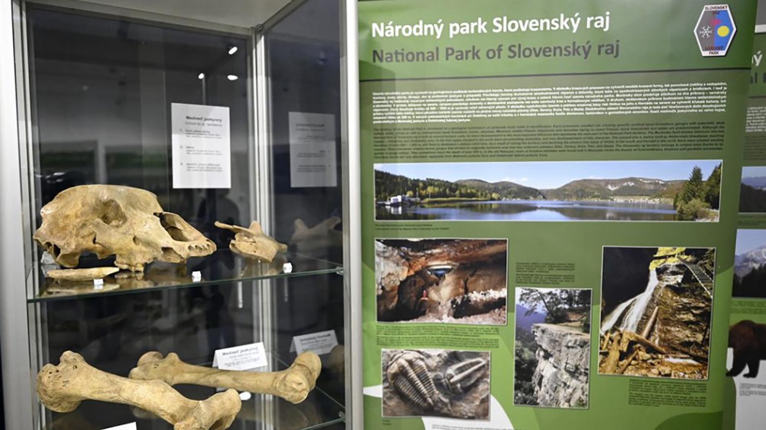 Vlastivedné múzeum predstavuje deväť národných parkov Slovenska