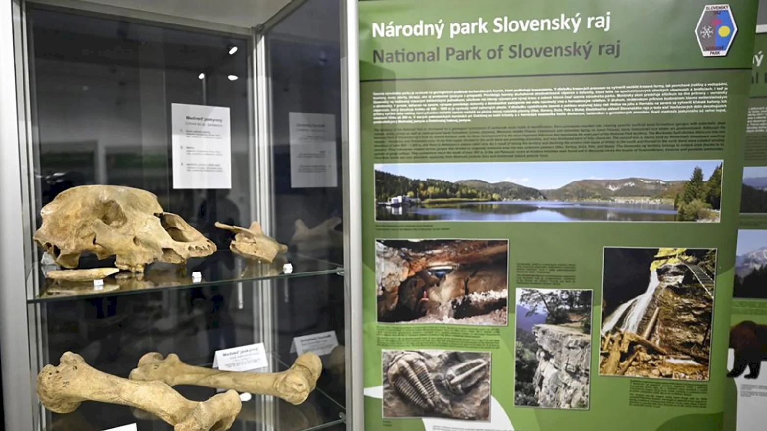 Vlastivedné múzeum predstavuje deväť národných parkov Slovenska