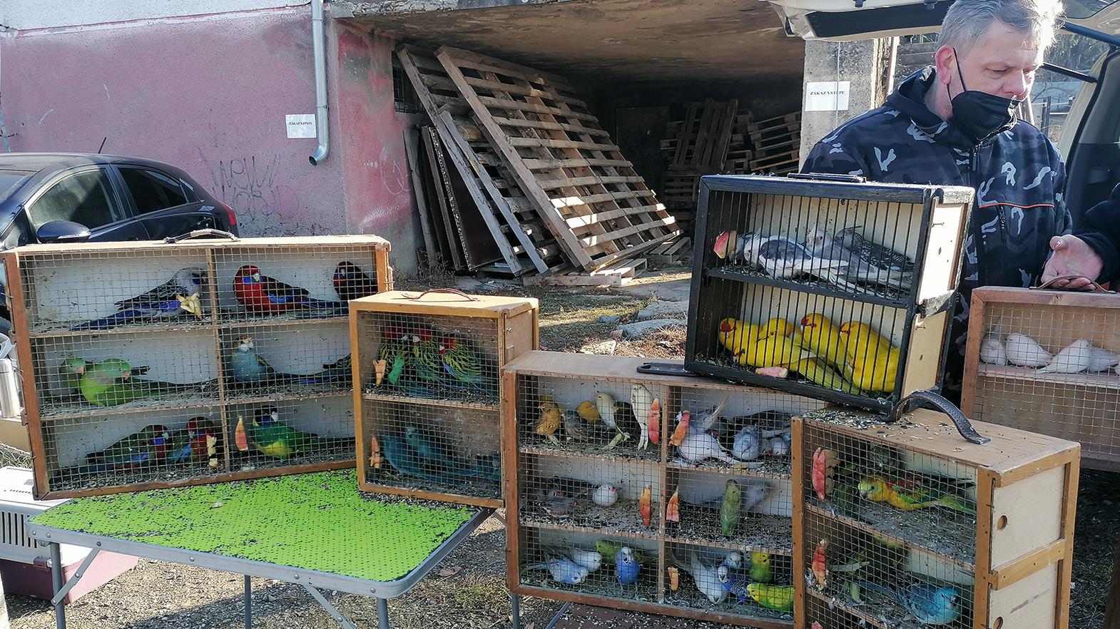 Vstupné z "oživených" Tovarnianskych trhov putovalo na pomoc Ukrajine