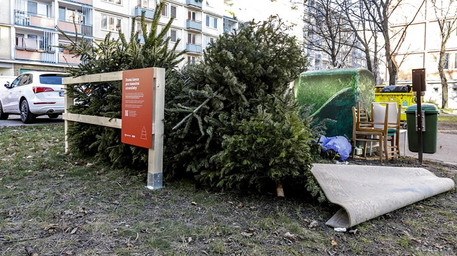 Z drevených ohrádok sa vyzbieralo vyše 208 ton vianočných stromčekov