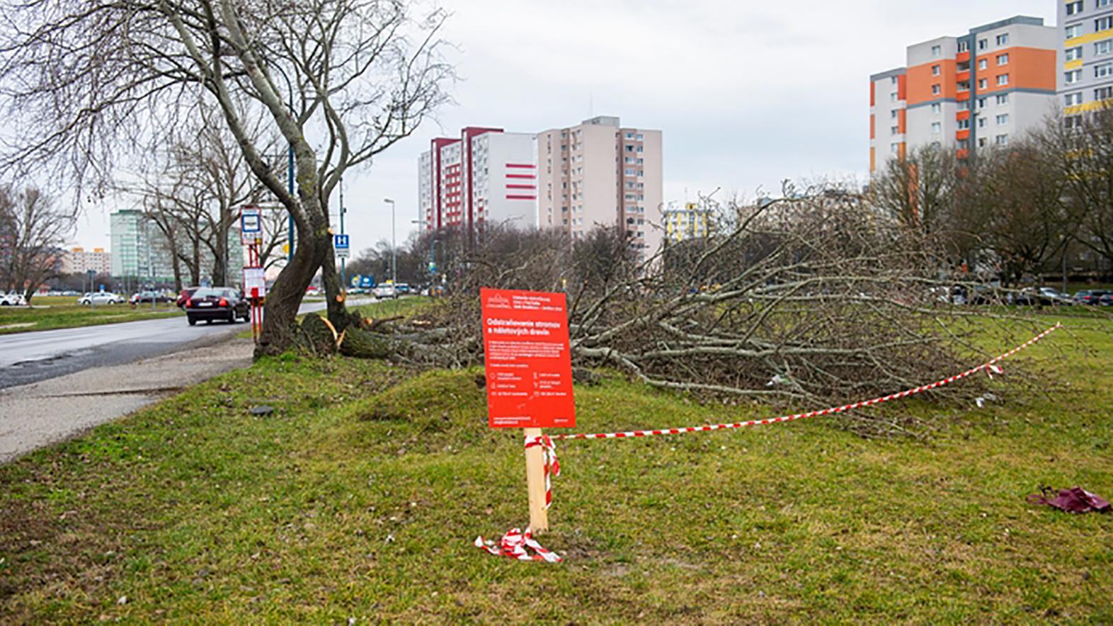 Začala sa výstavba dvoch mostov novej električkovej trate v Petržalke