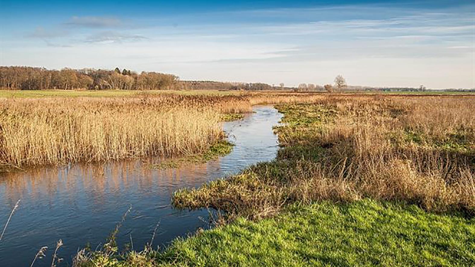 Envirorezort pripravuje akčný plán ochrany vôd na Žitnom ostrove
