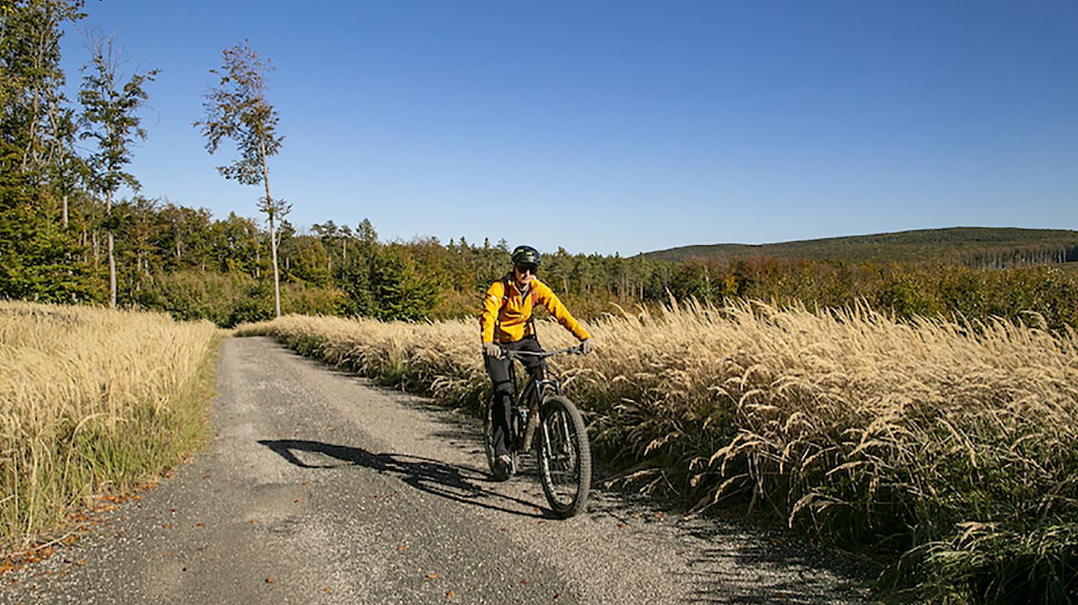 TTSK vypracoval štúdiu rozvoja cyklistickej dopravy