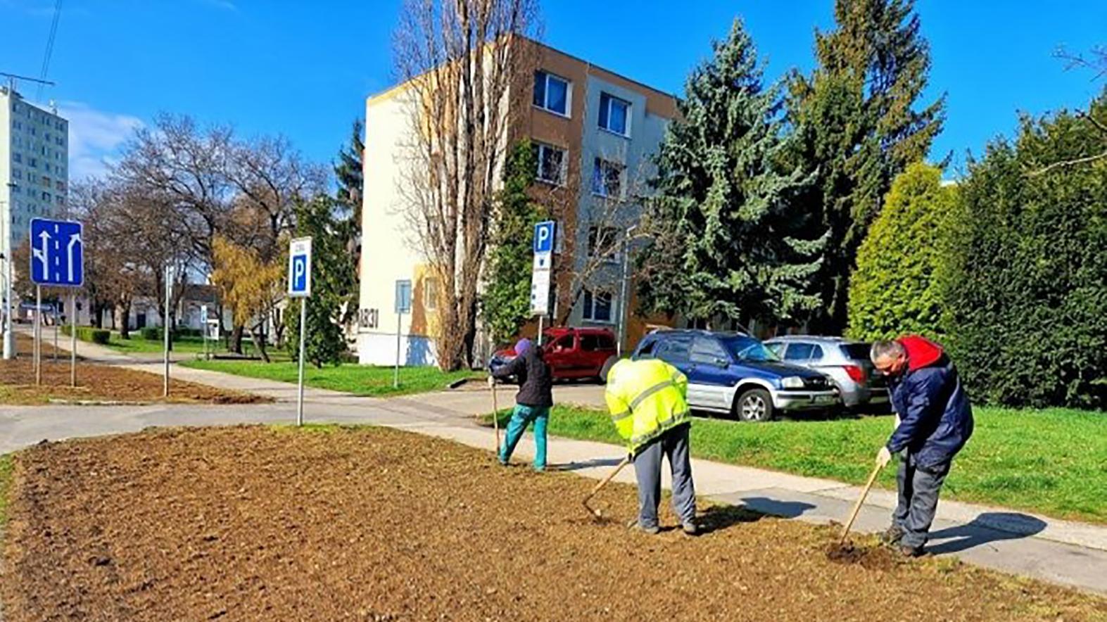 Mesto vytvorilo záhony, ktoré si môžu ľudia „adoptovať“