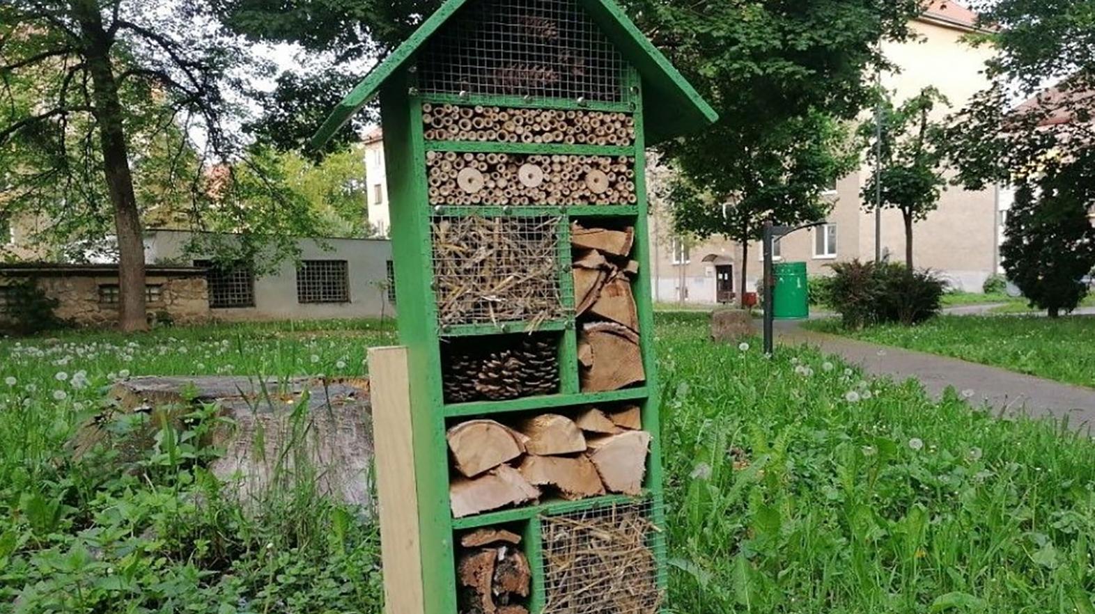 V Humennom chcú počas kosby pomôcť hmyzu, postavili hmyzie hotely