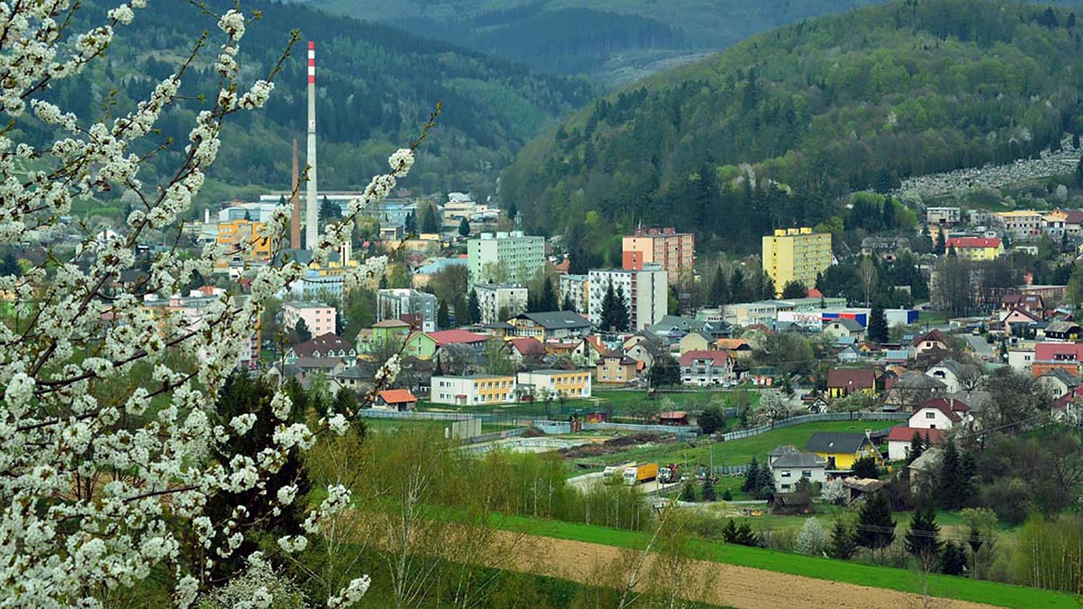 Hriňová po výzve ZMOS vstúpila do štrajkovej pohotovosti