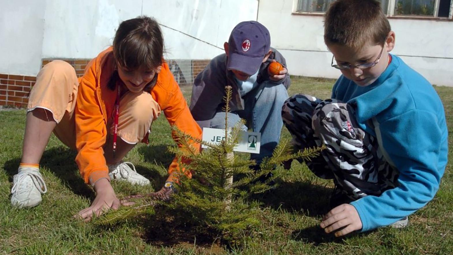 Festival Zeme si SAŽP pripomenie vzdelávacími aktivitami pre deti i dospelých