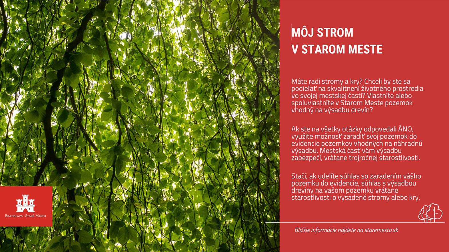Staré Mesto pracuje na evidencii súkromných pozemkov pre nové stromy