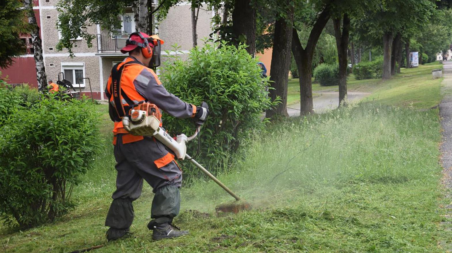 Mesto ušetrí na kosení 120 000 eur, VO rozdelilo na tri časti