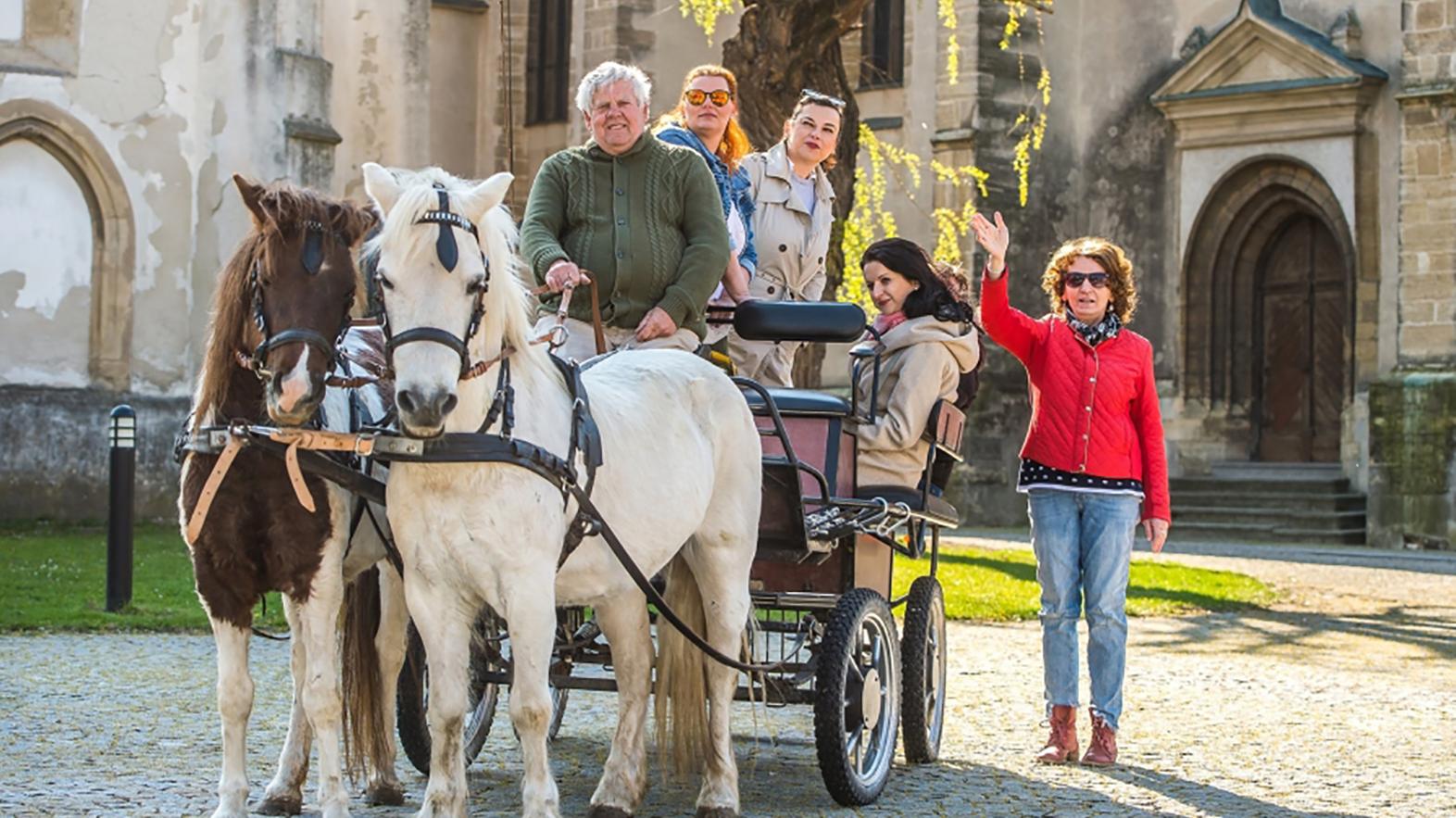 Mesto Skalica ponúka turistom prehliadku pamiatok na koči ťahanom koňmi