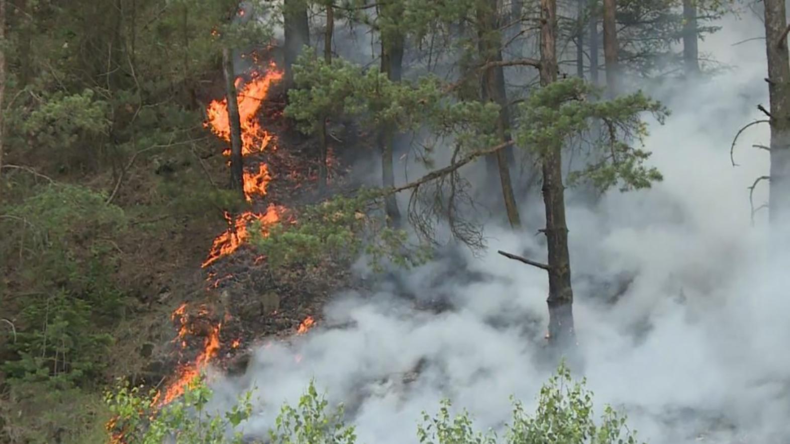 Okresné úrady na Spiši vydali zákaz využívať lesy verejnosťou