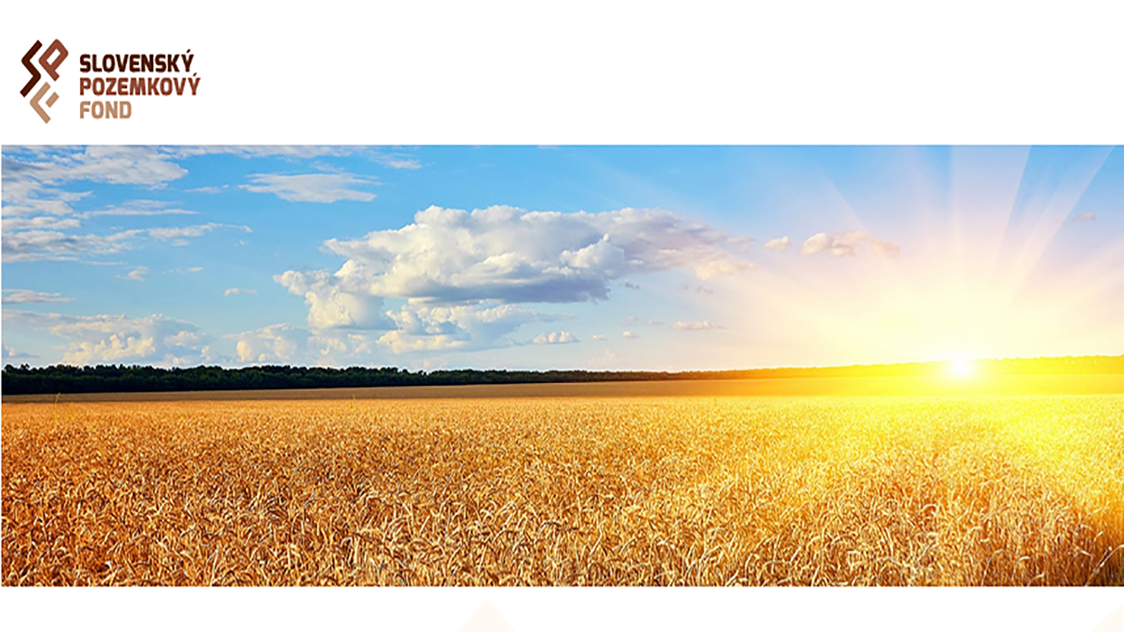 Zisťujú predbežný záujem farmárov o odškodnenie kvôli extrémnemu suchu