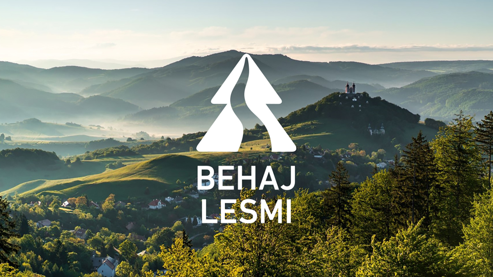 Do projektu Behaj lesmi sa aktívne zapojili aj Lesy SR