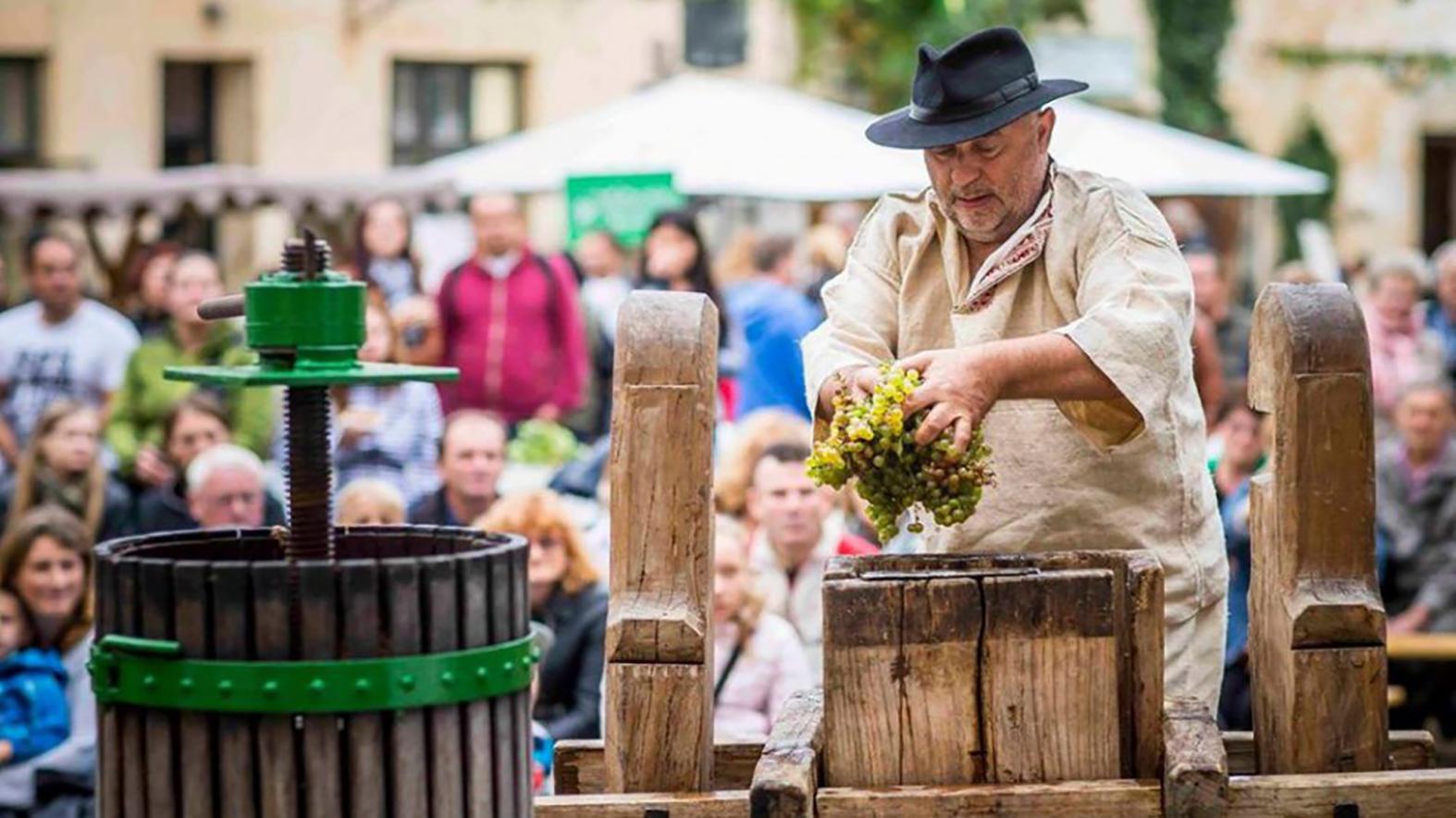 Modranské vinobranie sa po dvojročnej prestávke opäť uskutoční