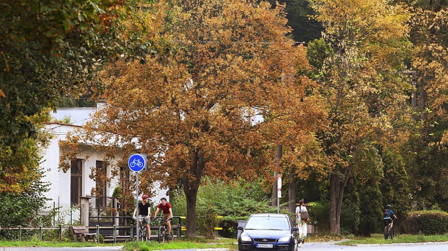 Akčný plán k Adaptačnému plánu na zmenu klímy je v príprave