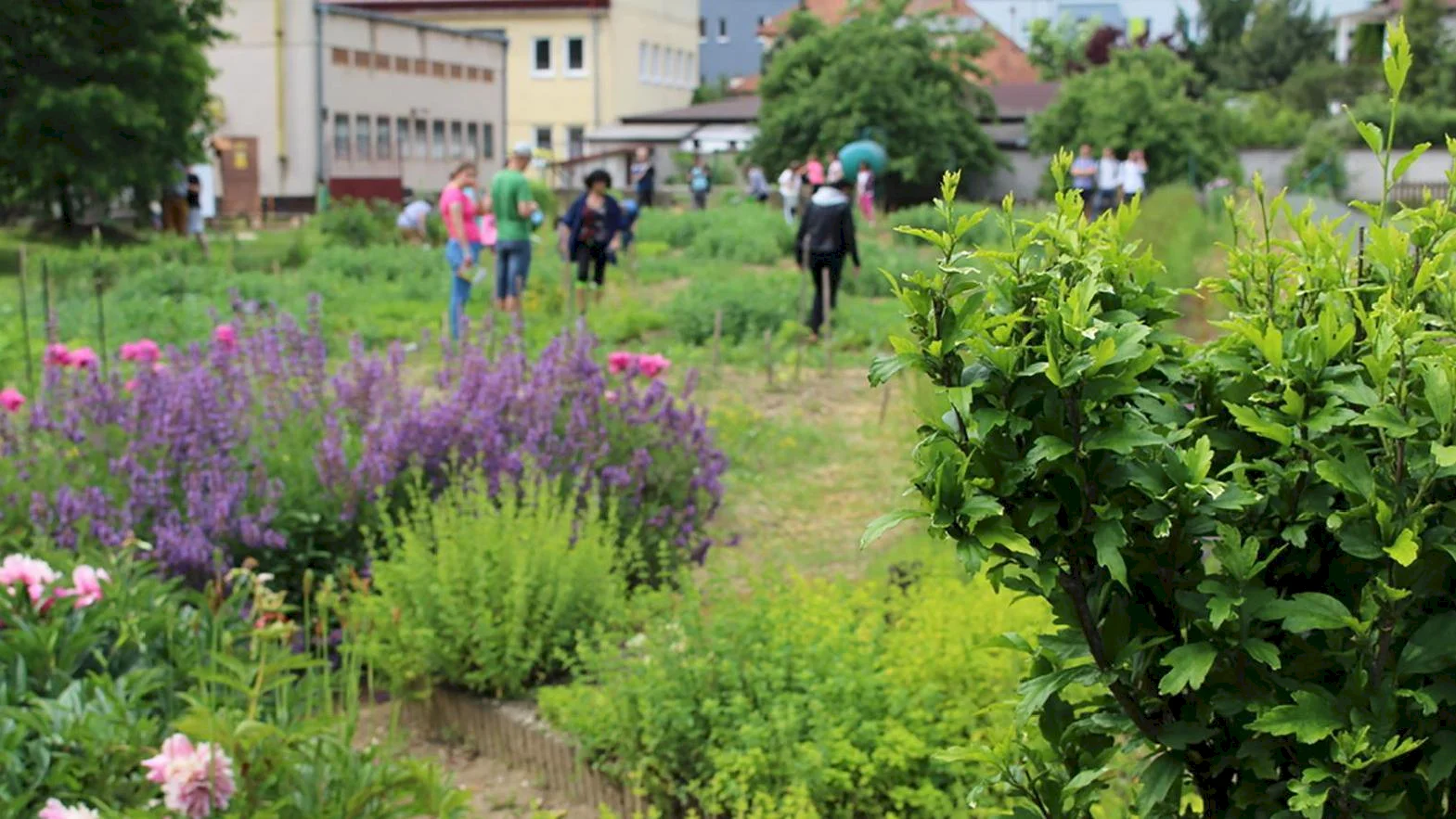 Envirofond ponúka mestám, obciam a VÚC úvery na financovanie enviroprojektov