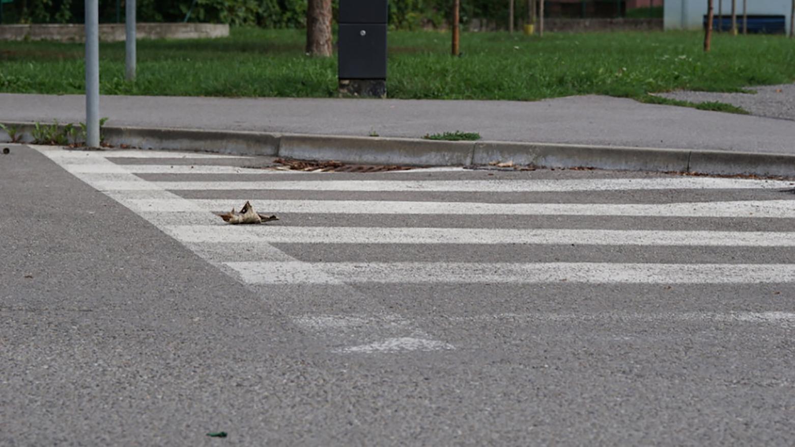 NSK na budúci rok zrekonštruuje cesty za takmer sedem miliónov eur