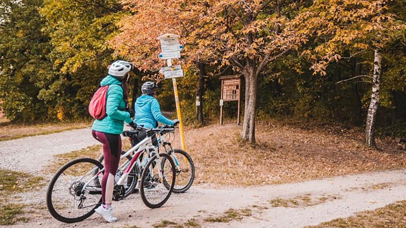 Kraj označí 160 km nových cyklotrás, na ďalších 125 km obnoví značenie