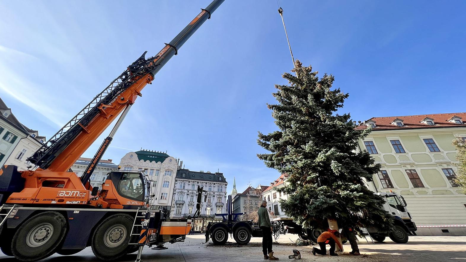 Na Hlavnom námestí už stojí 12-metrový vianočný stromček