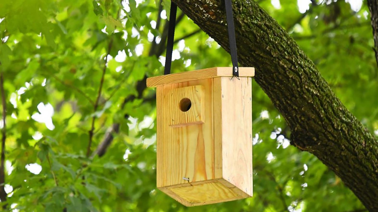 Pre Sídlisko Dionýza Štúra priniesol enviro projekt vtáčie búdky