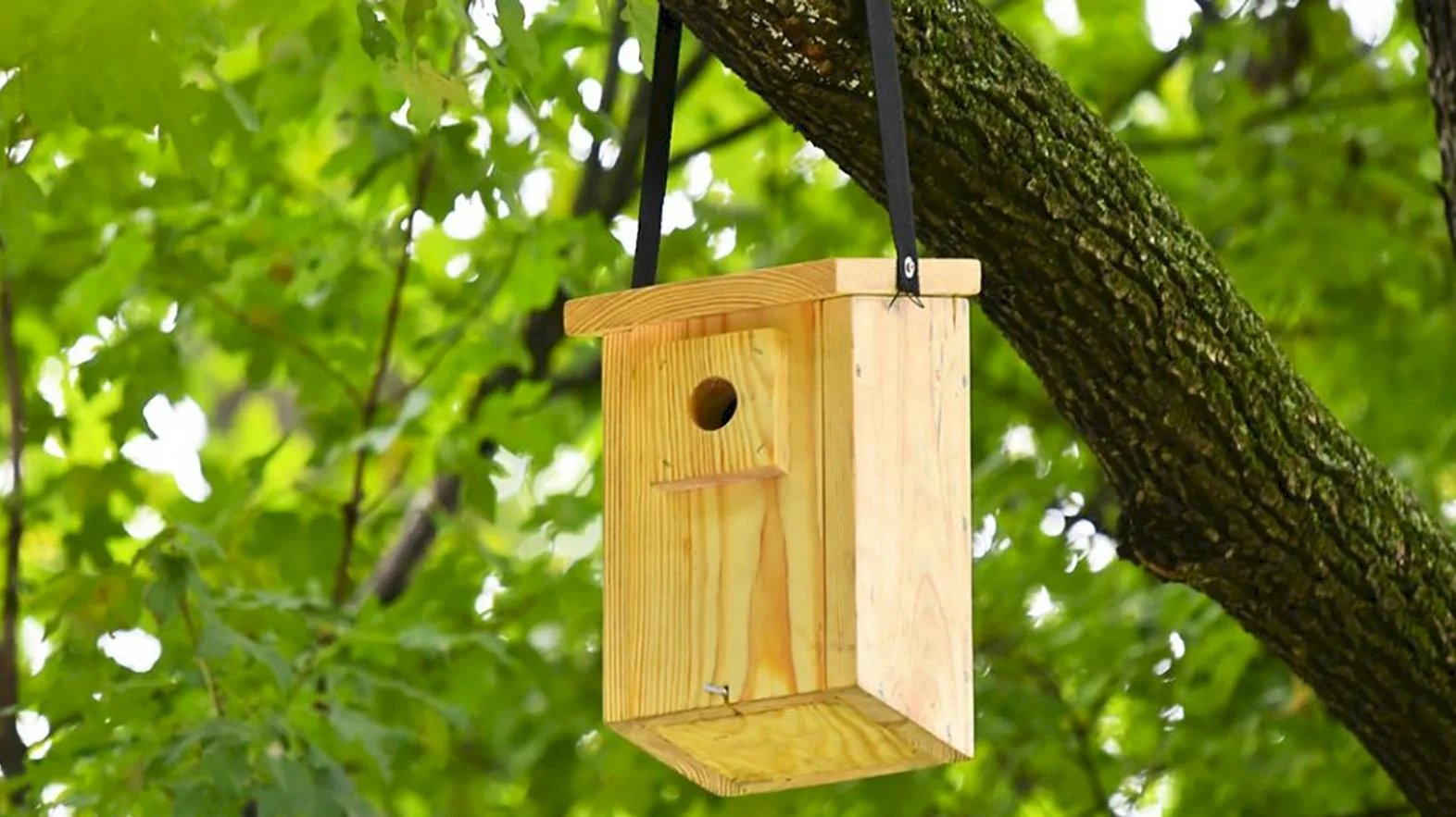 Pre Sídlisko Dionýza Štúra priniesol enviro projekt vtáčie búdky