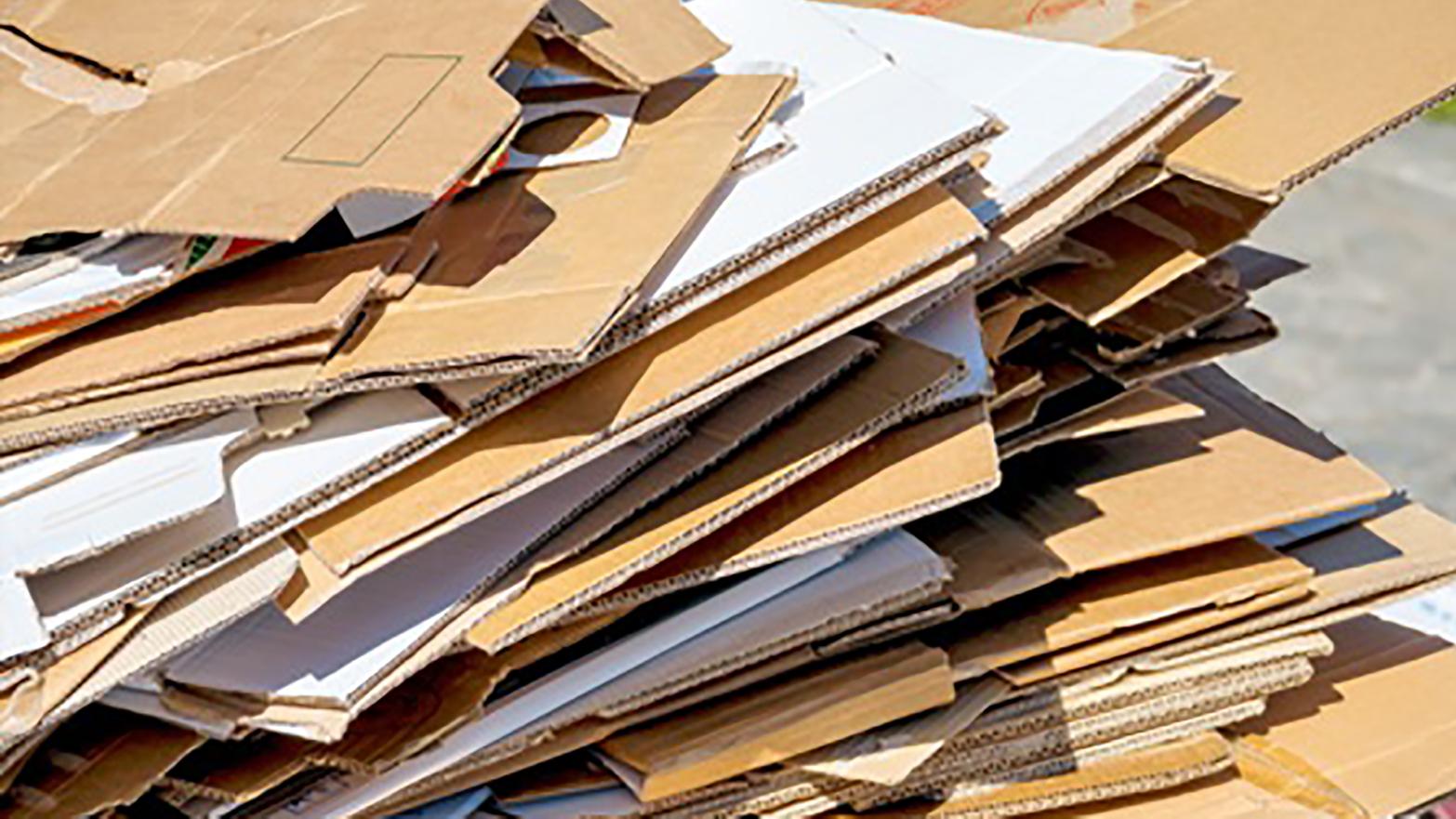 Do rodinných domov v Trenčíne začali distribuovať odpadové nádoby na papier
