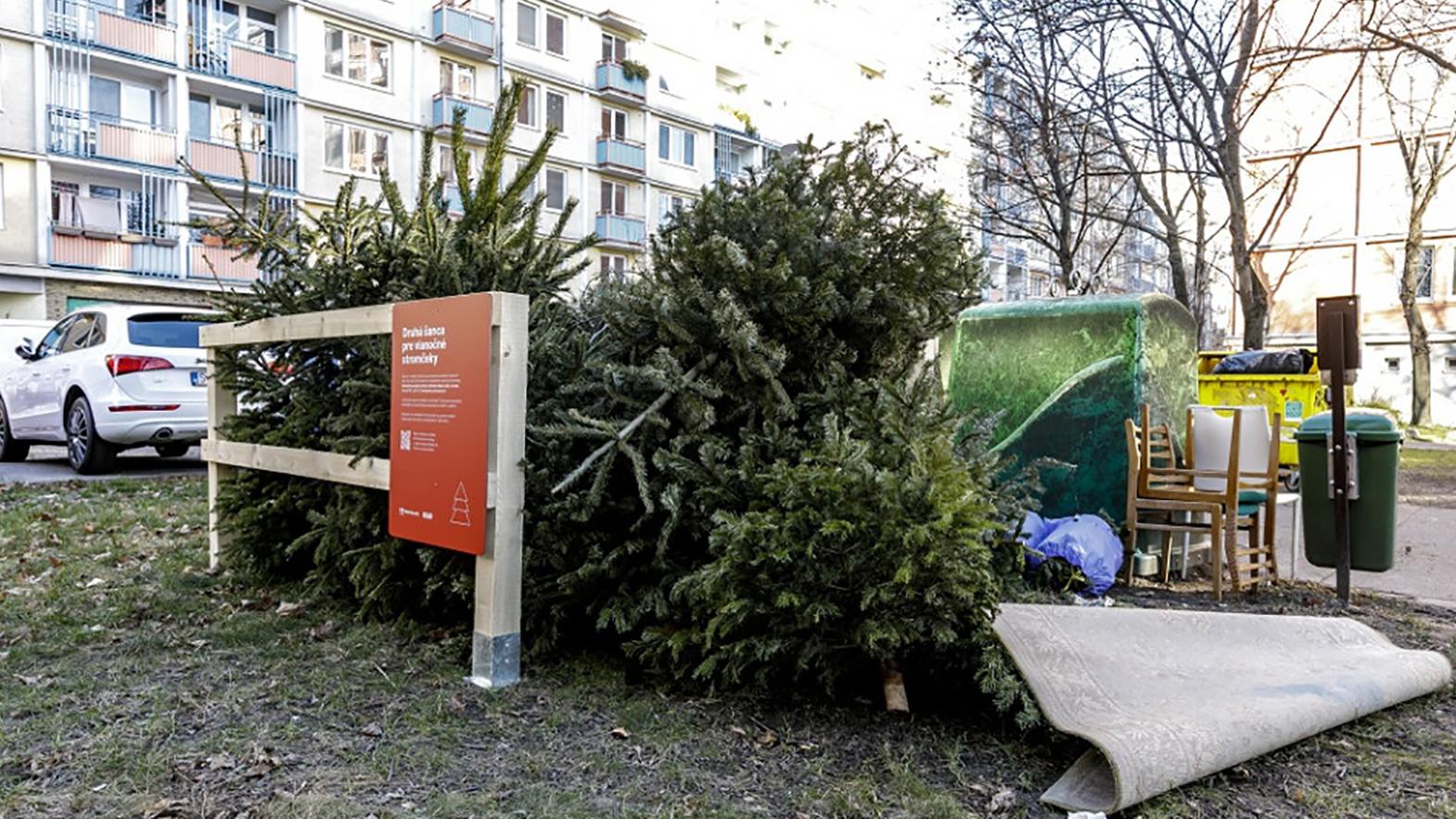 V Bratislave bude takmer 800 drevených ohrádok na zber vianočných stromčekov