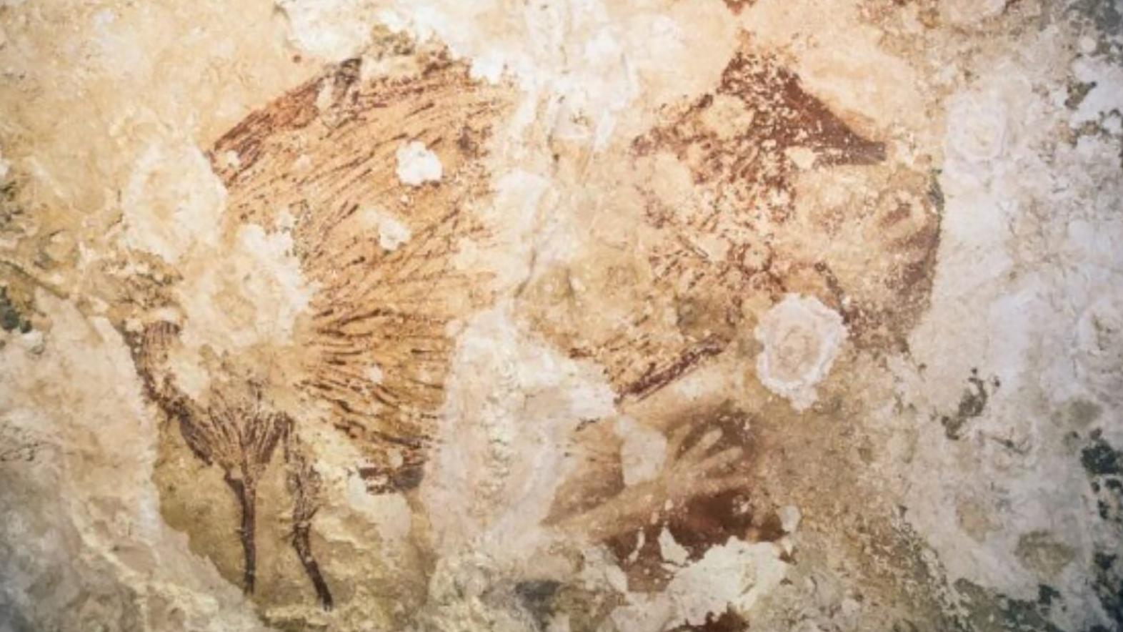 Na výstave Paleoart predstavujú jaskynné umenie spred 40 000 rokov