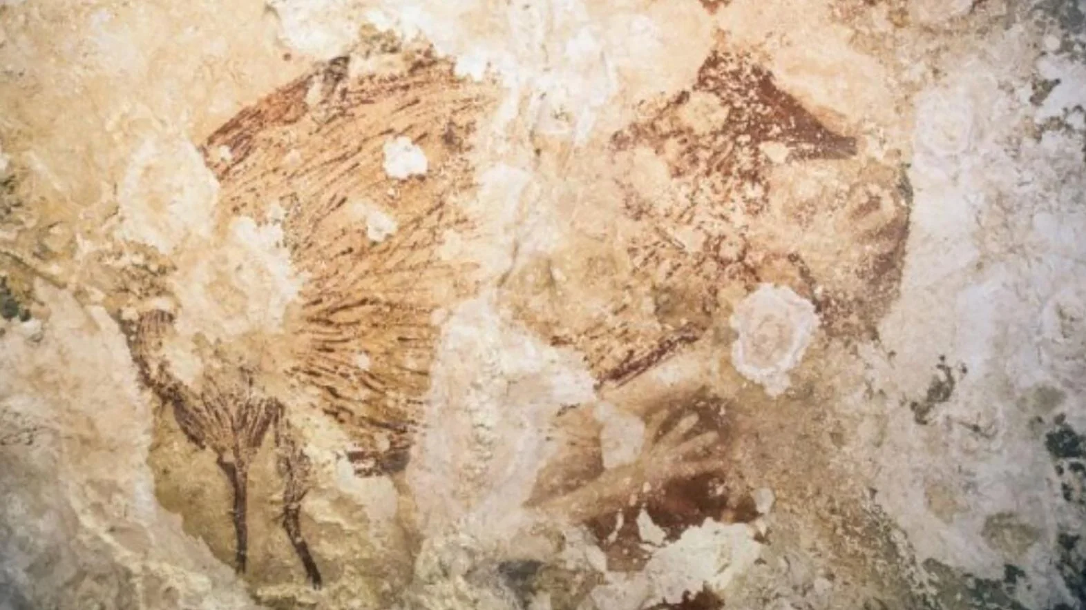 Na výstave Paleoart predstavujú jaskynné umenie spred 40 000 rokov