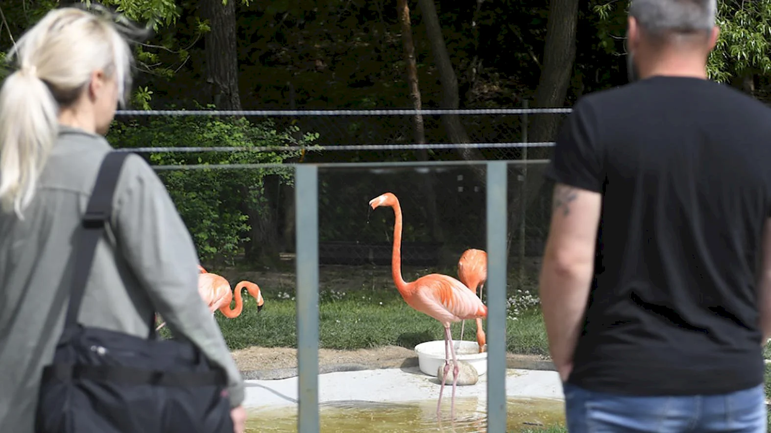 Košická zoo sa teší záujmu, za rok ju navštívilo 250 000 ľudí