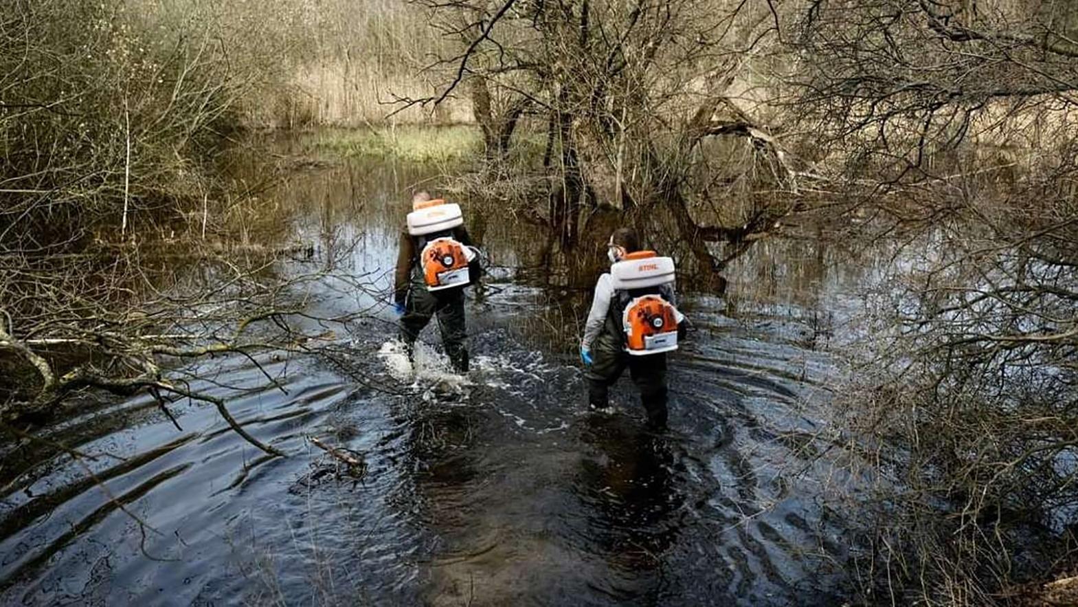 Mesto vykonalo prvý preventívny zásah proti liahniskám komárov