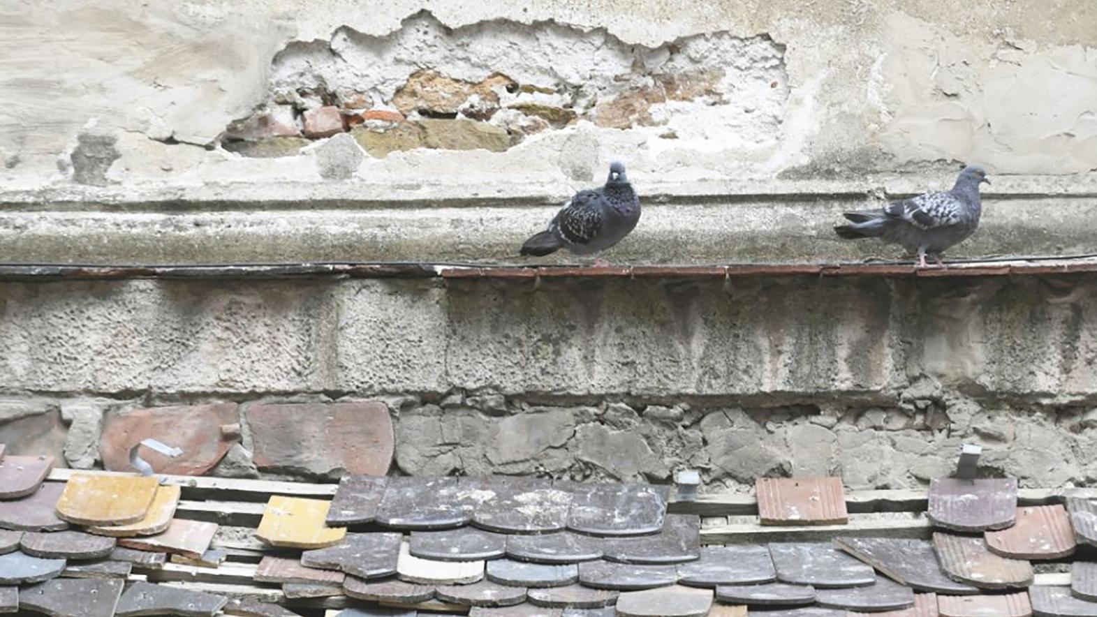 Mesto pomôže obyvateľom starších domov s projektom Obnov dom