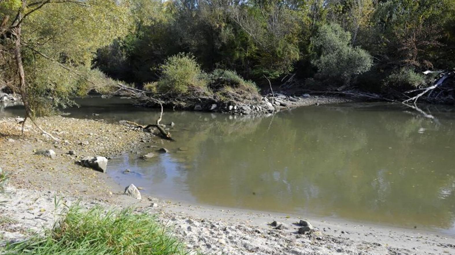 Pripravovaný Národný park Podunajsko počíta so zachovaním poľnohospodárstva
