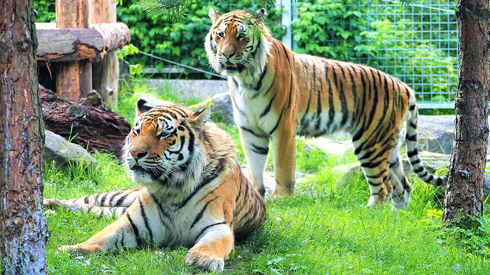 ZOO priniesla v novej sezóne niekoľko noviniek, časť areálu obnovili