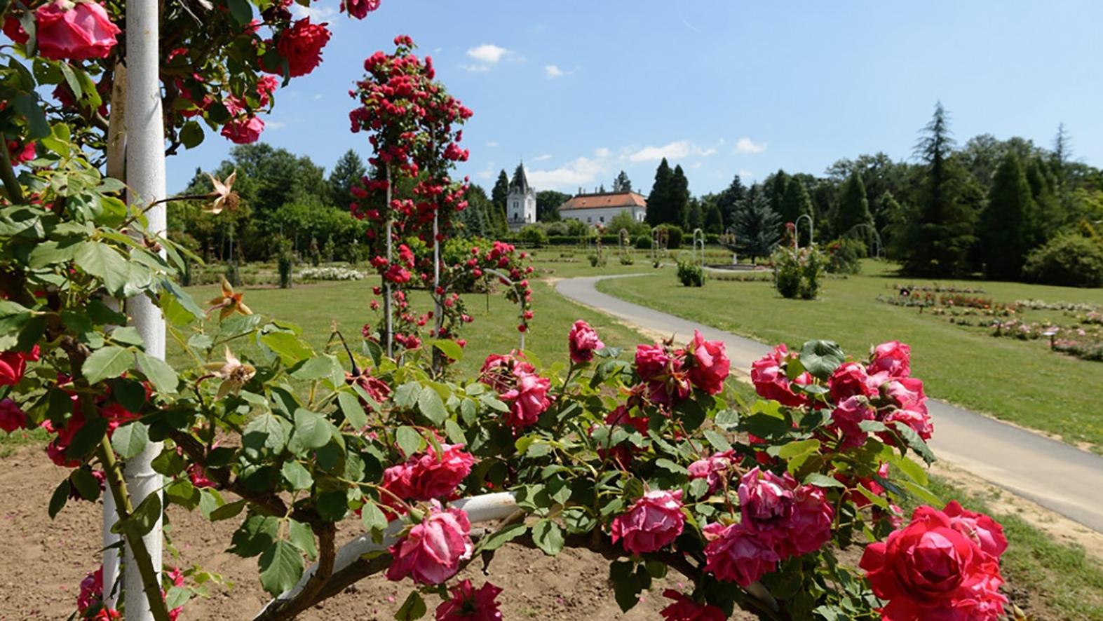 Letnú sezónu v arboréte Mlyňany otvoria Ambrózyho dni