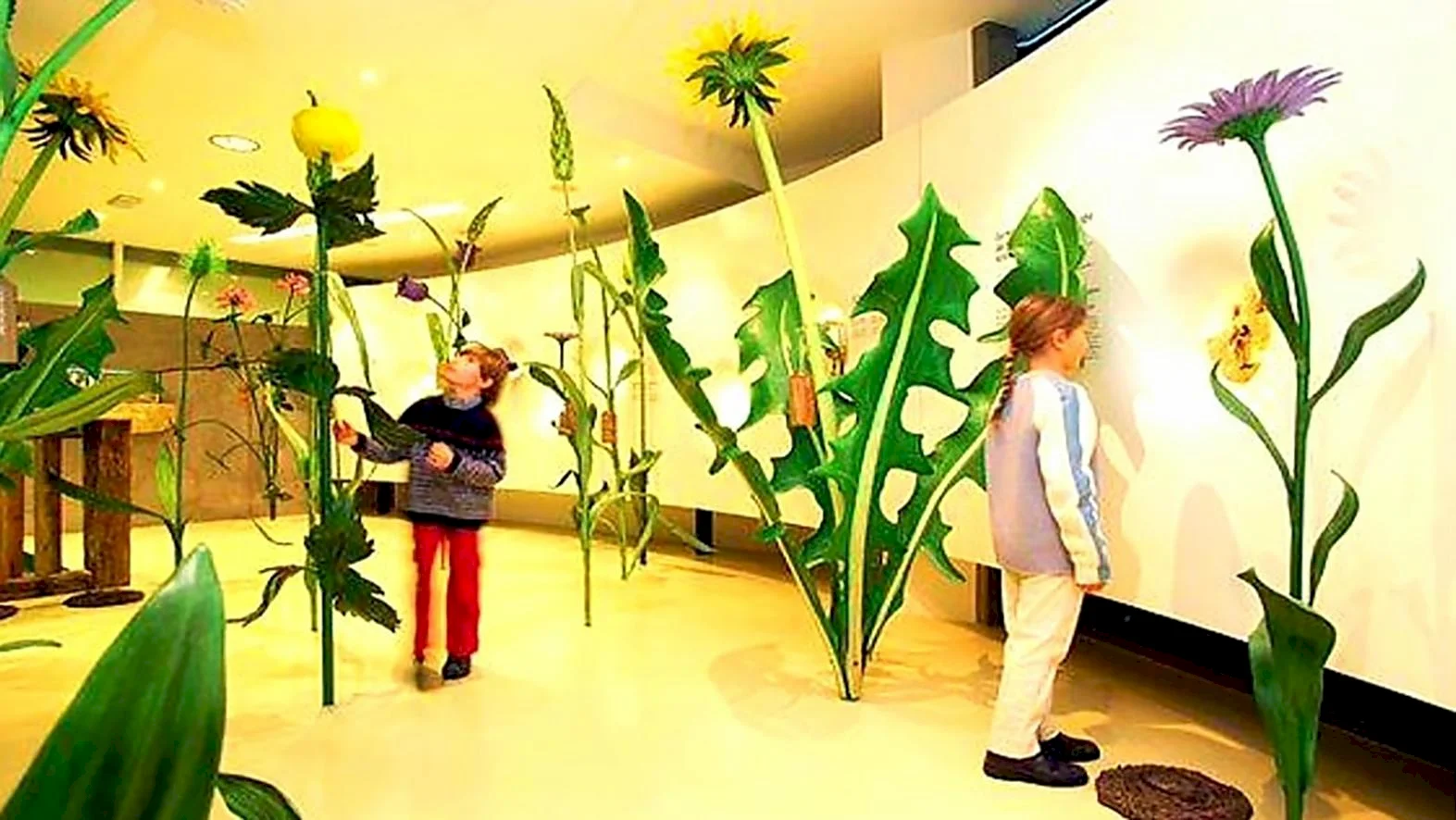 V priestoroch bývalej ZŠ vzniklo Centrum environmentálnej výchovy