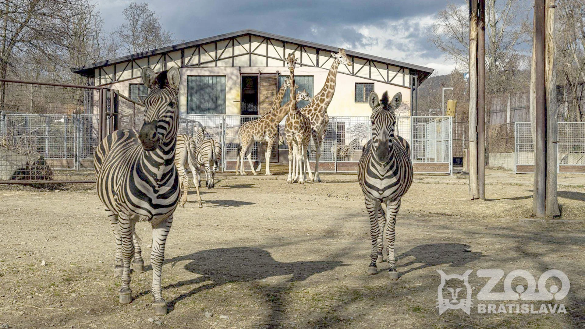 Zoo Bratislava sa s letom lúči festivalom smiechu a zábavy