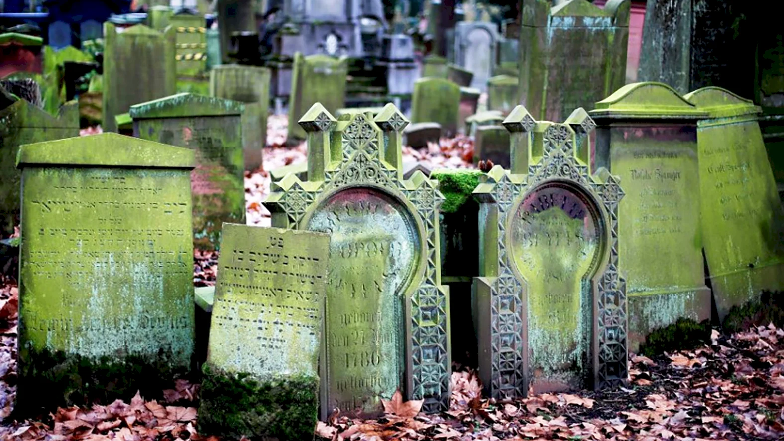 Desiatky skautov vyčistilo židovský cintorín od náletových krov a drevín