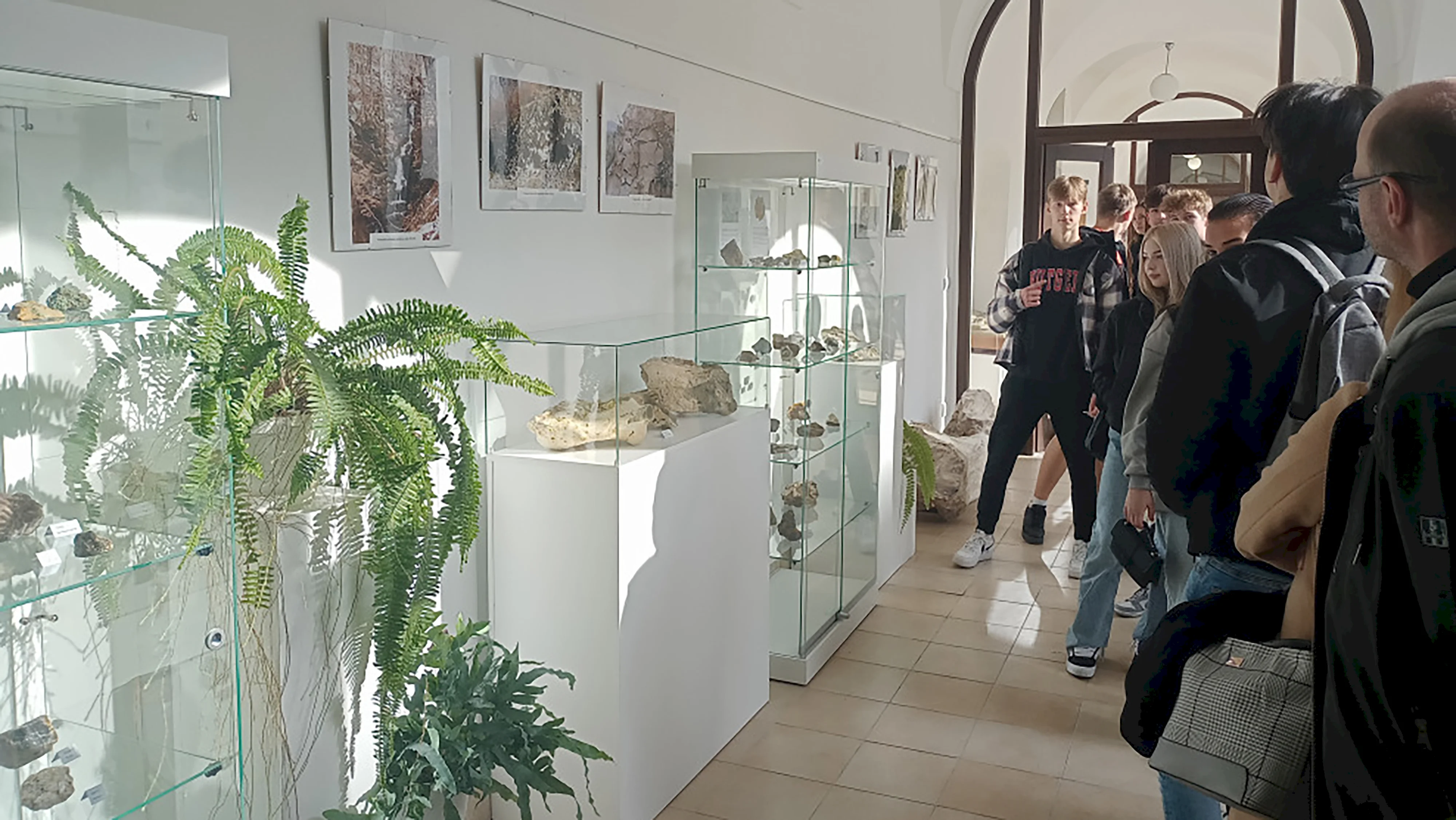 Vo Vihorlatskom múzeu zmodernizovali prírodovednú expozíciu