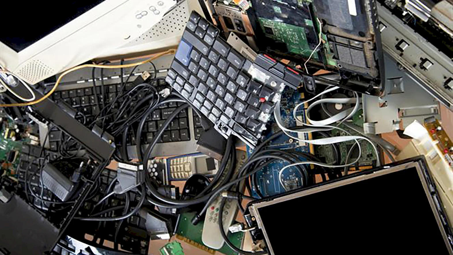 Ľudia bez domova pomohli Bratislavčanom odovzdať 16 ton elektroodpadu