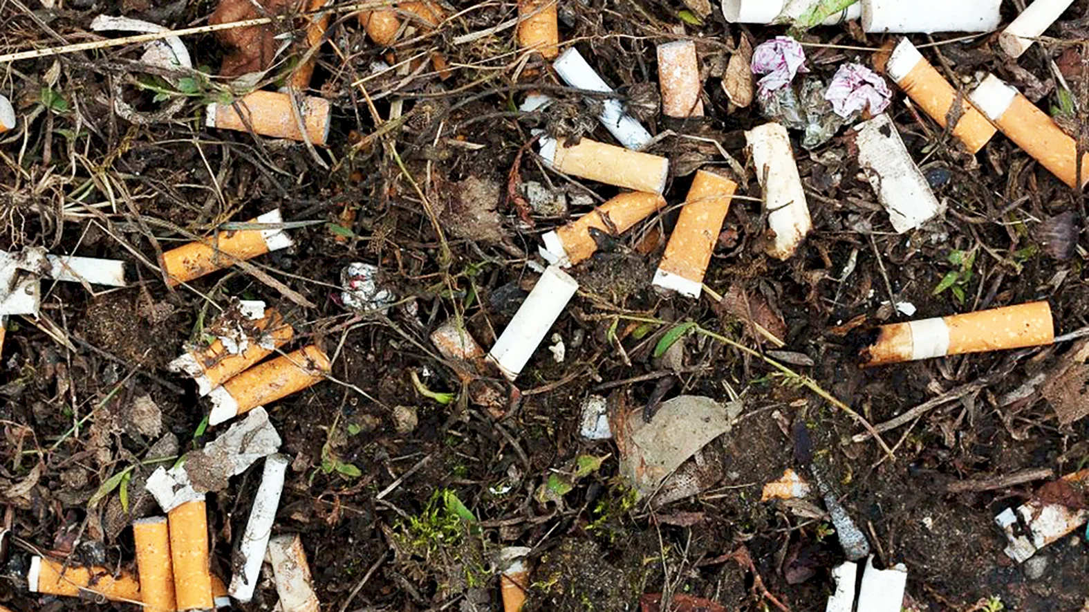 Vo voľne pohodenom odpade dominujú cigaretové ohorky