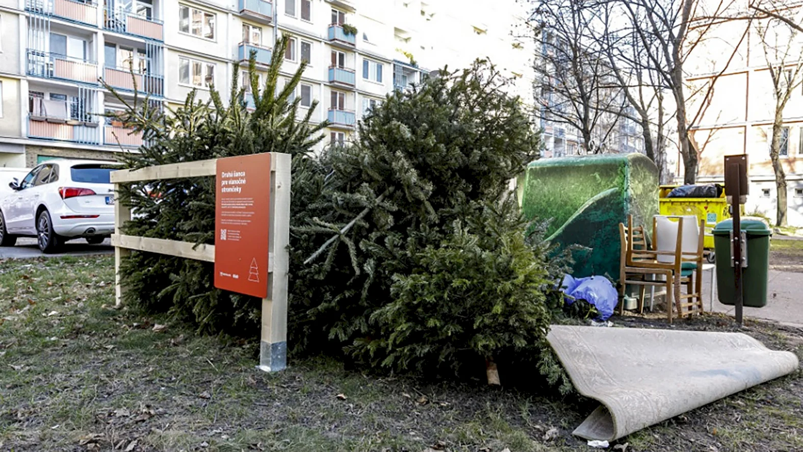 V meste nainštalujú 730 ohrádok na zber vianočných stromčekov