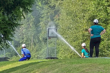 20250816_160111.jpg