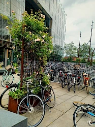 bicykle.jpg