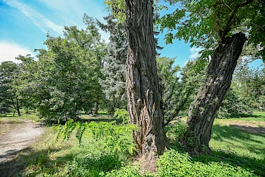 54746026701-6194282d8f-k.jpg