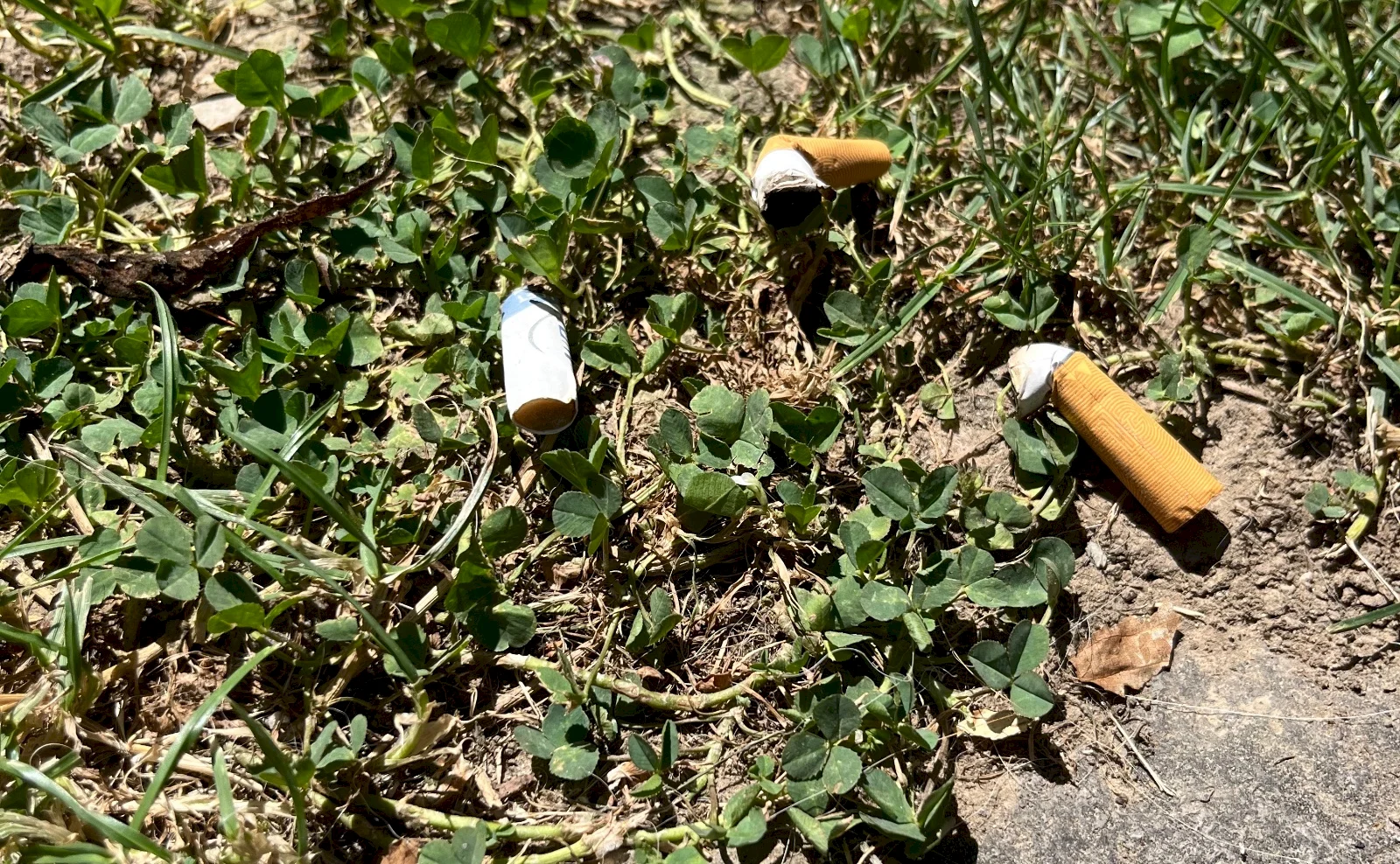 Systém na zber filtrov z tabakových výrobkov funguje, netreba zavádzať štátny