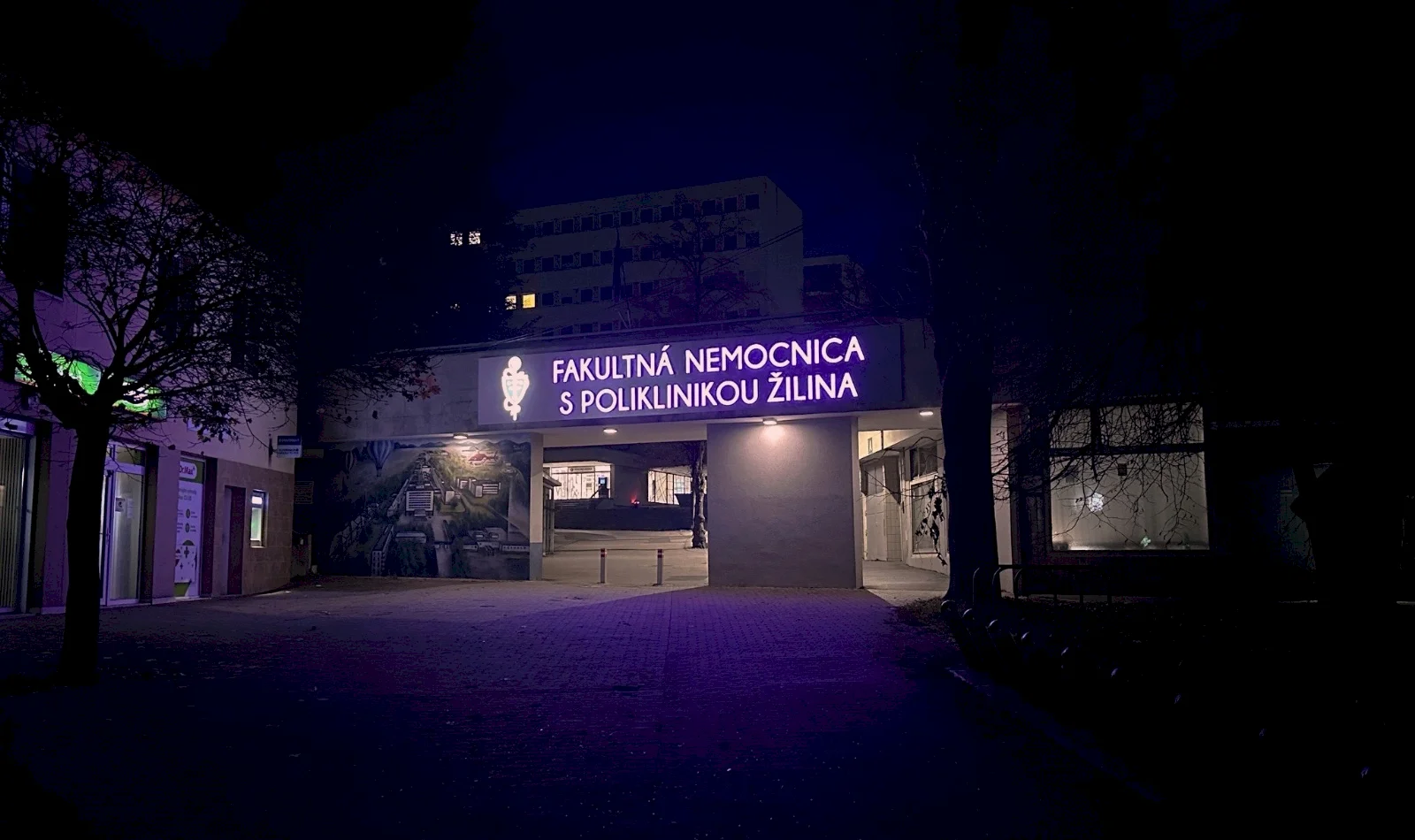 Purpurová pre najmenších bojovníkov. Pripomíname si Svetový deň predčasne narodených detí